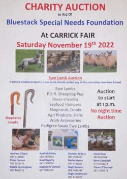 Charity Auction at Carrick Fair on Saturday 19th November