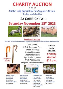 2023 Carrick Fair Charity Auction