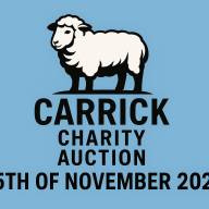 2025 Charity Auction